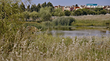 Expresso Imobili�rio T2 Eps.24