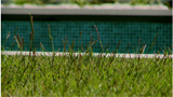 Espaos&Casas T4 Eps.6