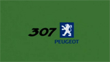 Peugeot 307 - Verde
